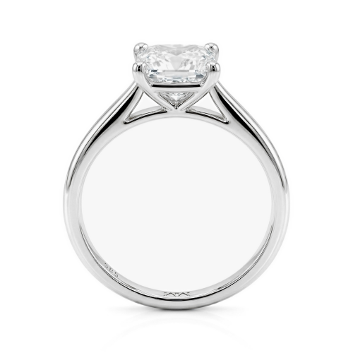 Moissanit Ringe in Platin