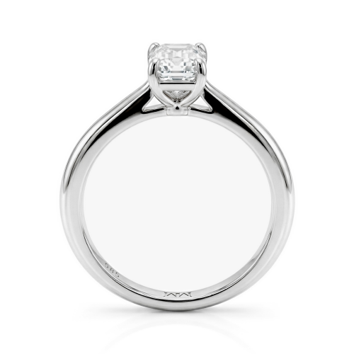 Moissanit Ringe in Platin