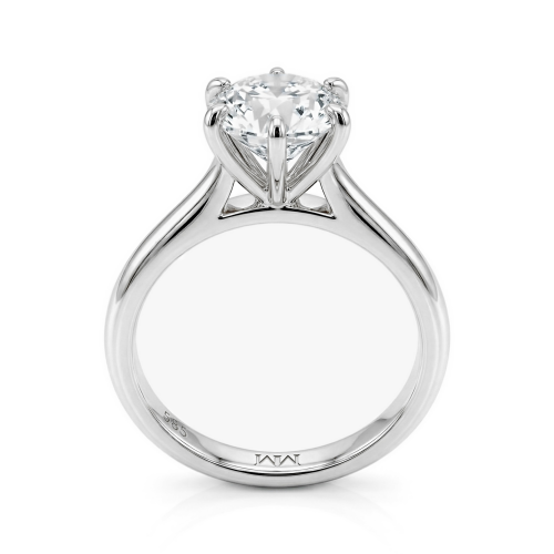 Moissanit Ringe in Platin